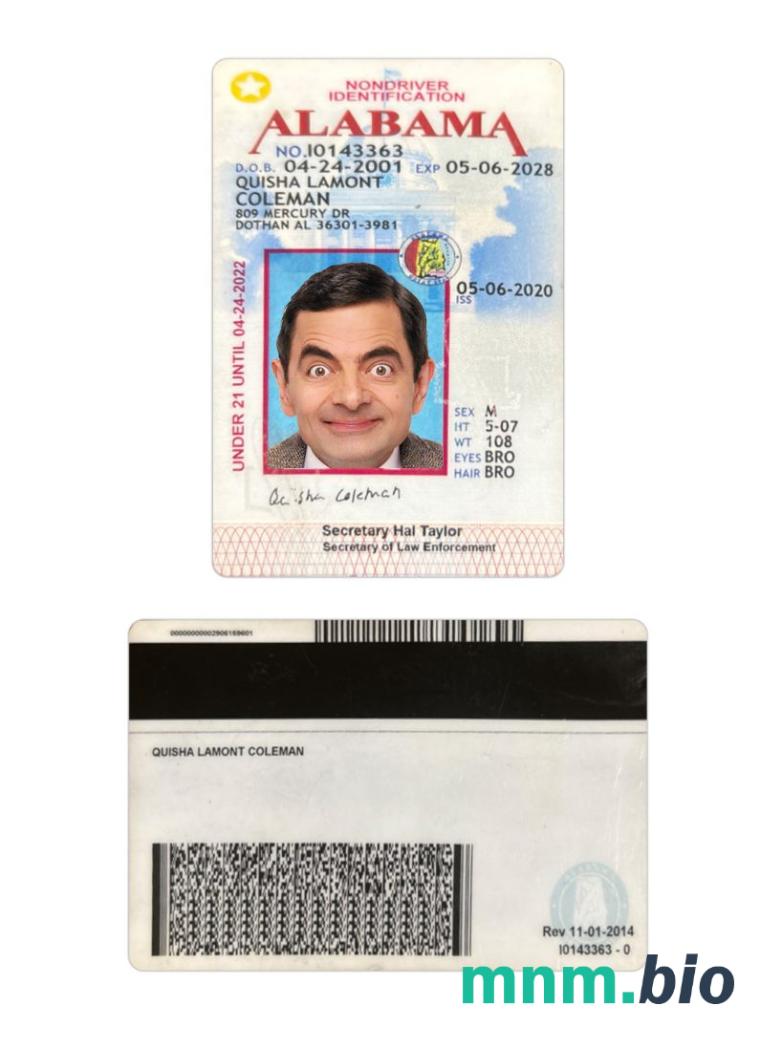 Przykład karty identyfikacyjnej poniżej 21 lat stanu Alabama (USA) w formacie PSD, w pełni edytowalny